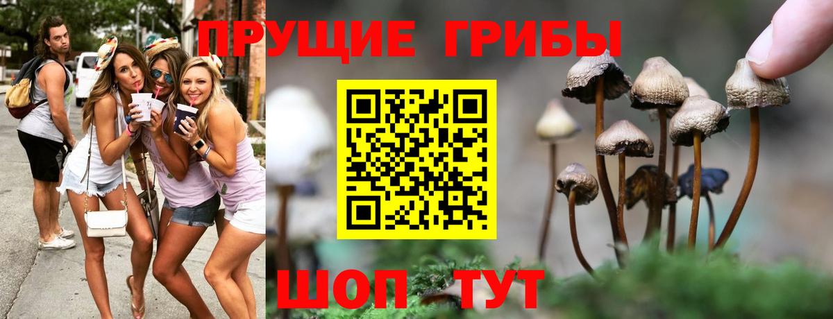 Галлюциногенные грибы ЛСД Унеча